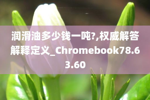 润滑油多少钱一吨?,权威解答解释定义_Chromebook78.63.60