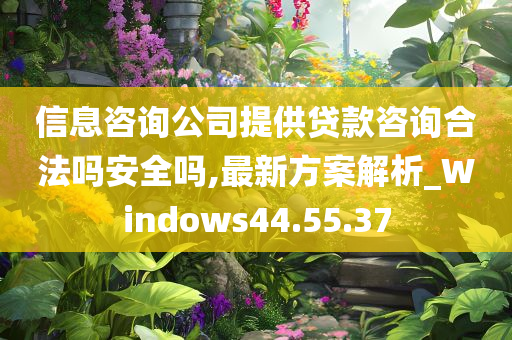 信息咨询公司提供贷款咨询合法吗安全吗,最新方案解析_Windows44.55.37