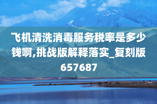 飞机清洗消毒服务税率是多少钱啊,挑战版解释落实_复刻版657687