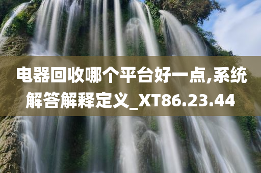 电器回收哪个平台好一点,系统解答解释定义_XT86.23.44