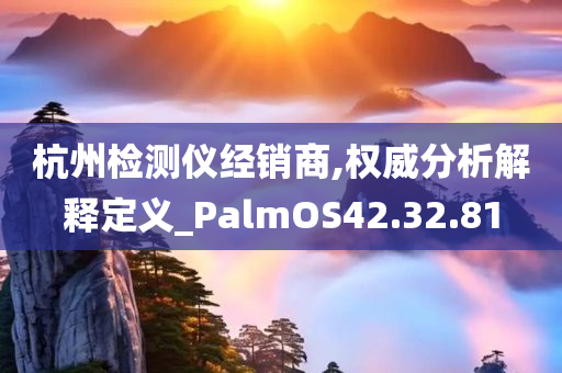 杭州检测仪经销商,权威分析解释定义_PalmOS42.32.81