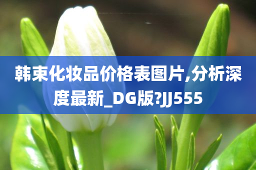 韩束化妆品价格表图片,分析深度最新_DG版?JJ555