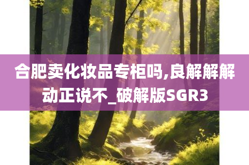 合肥卖化妆品专柜吗,良解解解动正说不_破解版SGR3