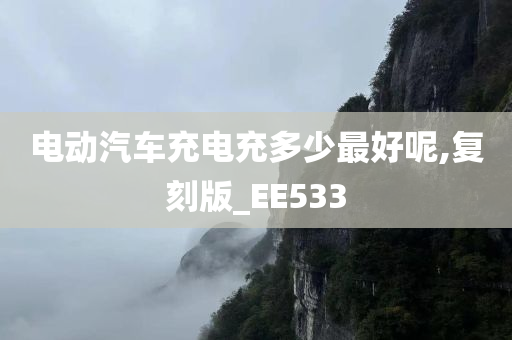 电动汽车充电充多少最好呢,复刻版_EE533