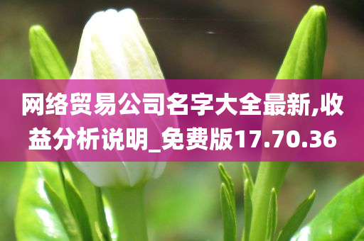 网络贸易公司名字大全最新,收益分析说明_免费版17.70.36