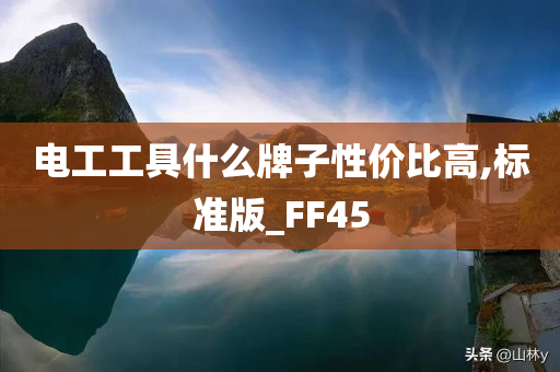 电工工具什么牌子性价比高,标准版_FF45