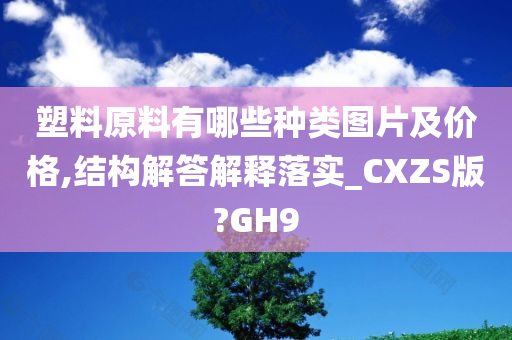 塑料原料有哪些种类图片及价格,结构解答解释落实_CXZS版?GH9