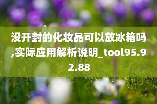 没开封的化妆品可以放冰箱吗,实际应用解析说明_tool95.92.88