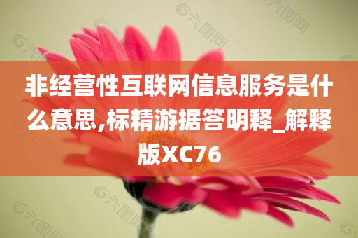 非经营性互联网信息服务是什么意思,标精游据答明释_解释版XC76