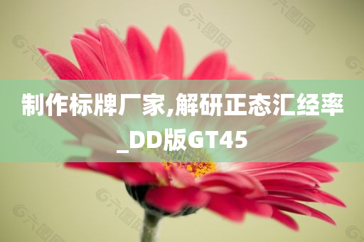 制作标牌厂家,解研正态汇经率_DD版GT45