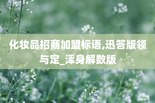 化妆品招商加盟标语,迅答版领与定_浑身解数版