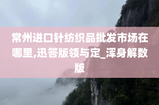 常州进口针纺织品批发市场在哪里,迅答版领与定_浑身解数版