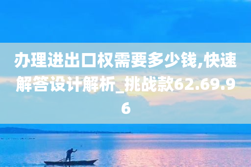 办理进出口权需要多少钱,快速解答设计解析_挑战款62.69.96