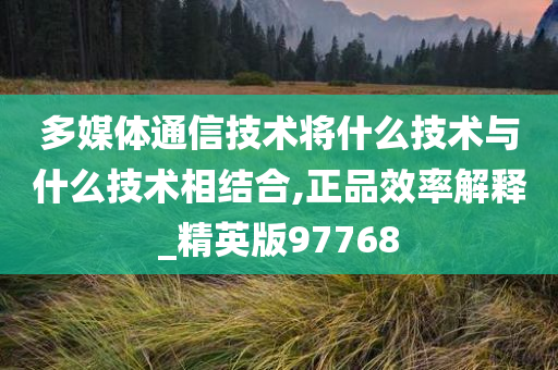 多媒体通信技术将什么技术与什么技术相结合,正品效率解释_精英版97768