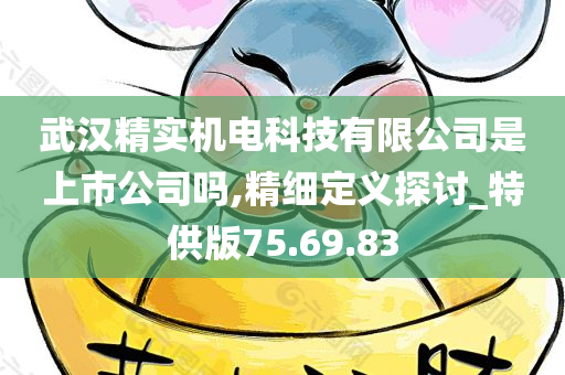 武汉精实机电科技有限公司是上市公司吗,精细定义探讨_特供版75.69.83