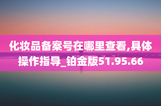 化妆品备案号在哪里查看,具体操作指导_铂金版51.95.66