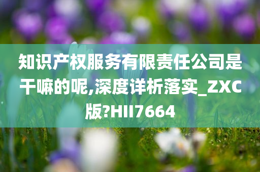 知识产权服务有限责任公司是干嘛的呢,深度详析落实_ZXC版?HII7664