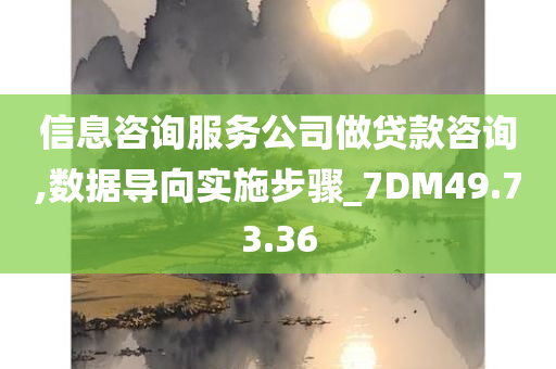 信息咨询服务公司做贷款咨询,数据导向实施步骤_7DM49.73.36