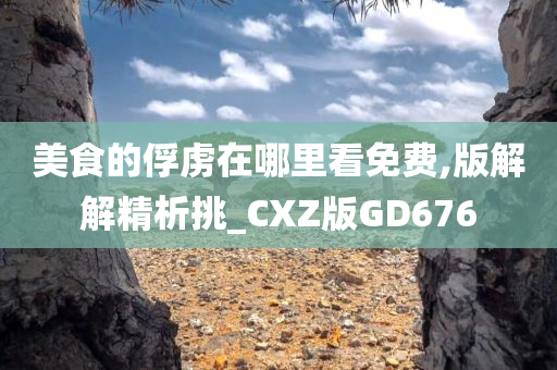 美食的俘虏在哪里看免费,版解解精析挑_CXZ版GD676