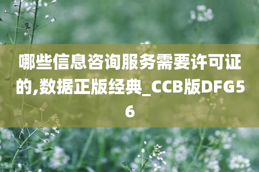 哪些信息咨询服务需要许可证的,数据正版经典_CCB版DFG56