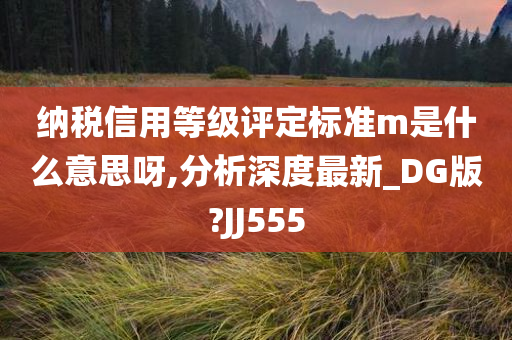 纳税信用等级评定标准m是什么意思呀,分析深度最新_DG版?JJ555