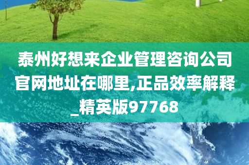 泰州好想来企业管理咨询公司官网地址在哪里,正品效率解释_精英版97768