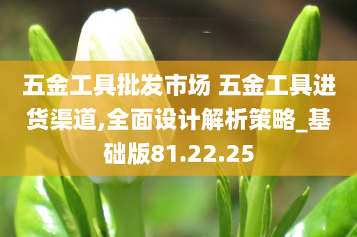 五金工具批发市场 五金工具进货渠道,全面设计解析策略_基础版81.22.25