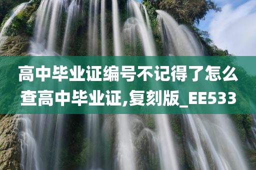 高中毕业证编号不记得了怎么查高中毕业证,复刻版_EE533