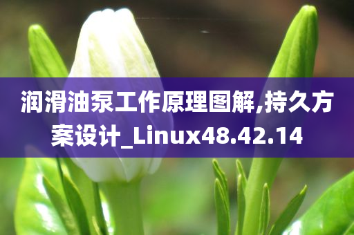 润滑油泵工作原理图解,持久方案设计_Linux48.42.14