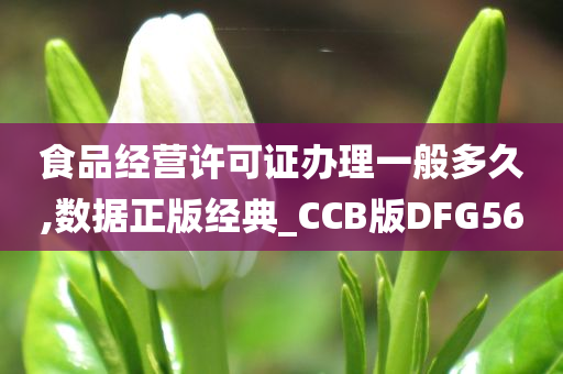 食品经营许可证办理一般多久,数据正版经典_CCB版DFG56