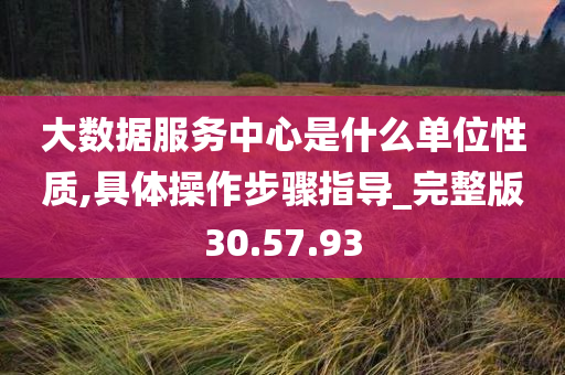 大数据服务中心是什么单位性质,具体操作步骤指导_完整版30.57.93