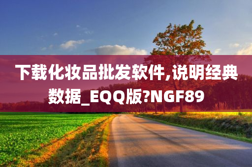 下载化妆品批发软件,说明经典数据_EQQ版?NGF89