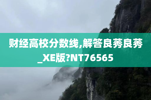 财经高校分数线,解答良莠良莠_XE版?NT76565