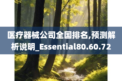 医疗器械公司全国排名,预测解析说明_Essential80.60.72