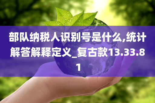 部队纳税人识别号是什么,统计解答解释定义_复古款13.33.81