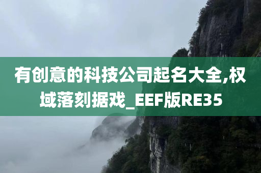 有创意的科技公司起名大全,权域落刻据戏_EEF版RE35