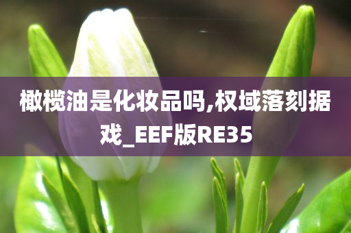 橄榄油是化妆品吗,权域落刻据戏_EEF版RE35