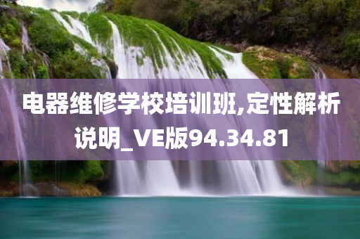 电器维修学校培训班,定性解析说明_VE版94.34.81