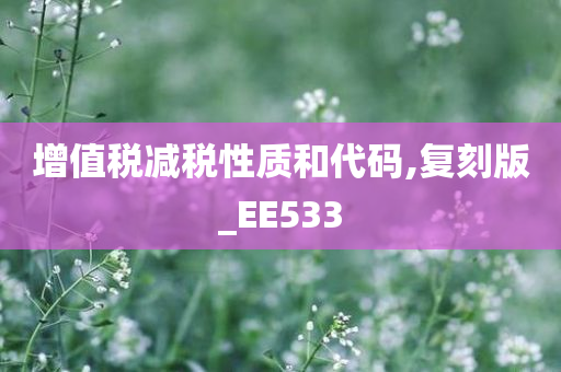 增值税减税性质和代码,复刻版_EE533