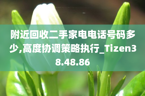 附近回收二手家电电话号码多少,高度协调策略执行_Tizen38.48.86