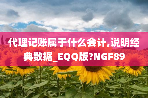 代理记账属于什么会计,说明经典数据_EQQ版?NGF89