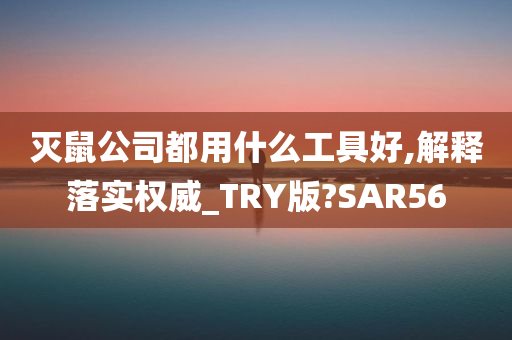 灭鼠公司都用什么工具好,解释落实权威_TRY版?SAR56