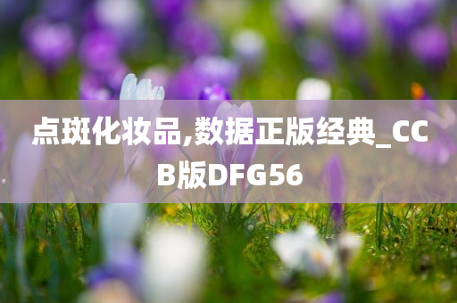 点斑化妆品,数据正版经典_CCB版DFG56