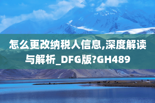 怎么更改纳税人信息,深度解读与解析_DFG版?GH489