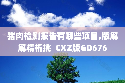 猪肉检测报告有哪些项目,版解解精析挑_CXZ版GD676