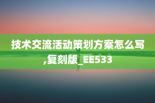 技术交流活动策划方案怎么写,复刻版_EE533