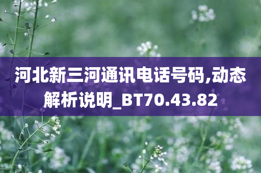 河北新三河通讯电话号码,动态解析说明_BT70.43.82