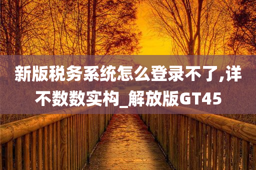 新版税务系统怎么登录不了,详不数数实构_解放版GT45