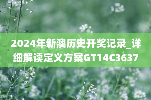 2024年新澳历史开奖记录_详细解读定义方案GT14C3637