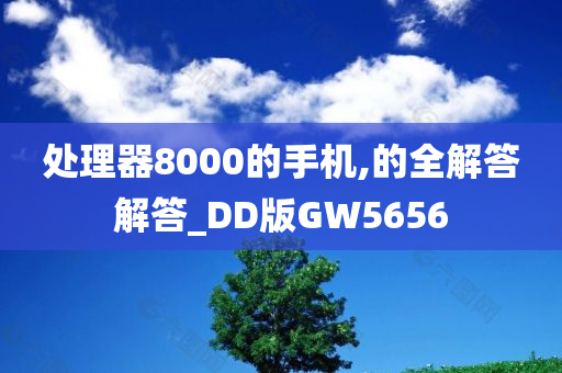 处理器8000的手机,的全解答解答_DD版GW5656